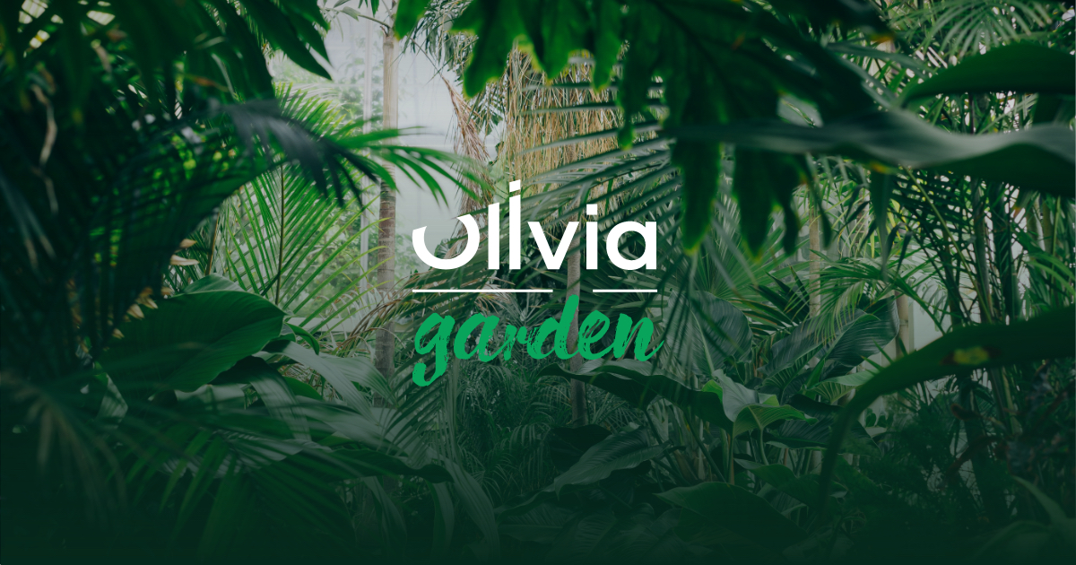 Homepage  Olivia Garden